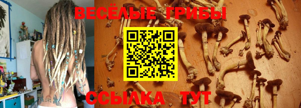 Галлюциногенные грибы мицелий  Вход с VPN  Алексеевка  Псилоцибиновые грибы Cubensis 