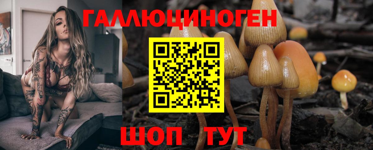 Галлюциногенные грибы прущие грибы Алексеевка